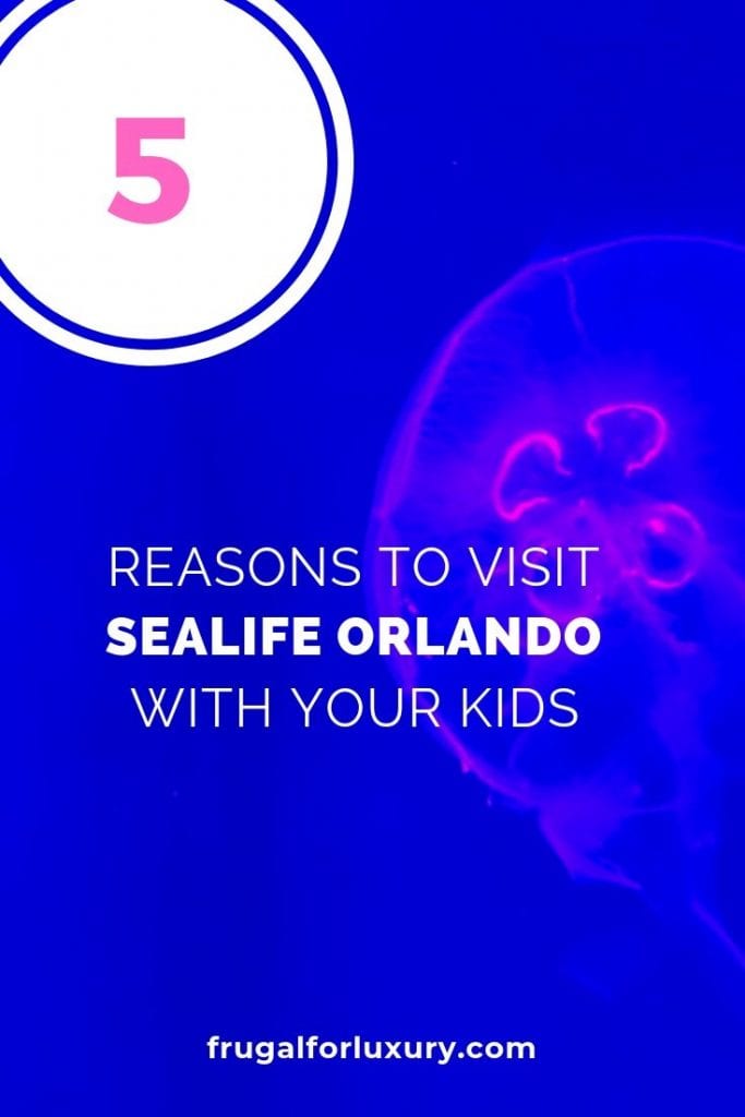 5 Reasons To Visit SEALife Orlando | Orlando attractions that are not theme parks | SEALife Orlando aquarium | Orlando with kids | ICON Park Orlando | Orlando eye | Florida aquarium | #sealife #sealifeorlando #orlandoaquarium #orlandoattractions #orlandowithkids