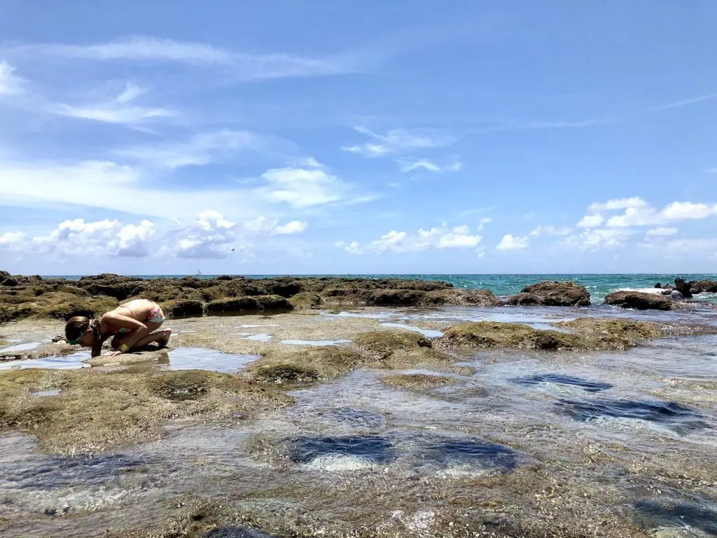 Top 10 Favorites at the Palm Beach Marriott Singer Island Beach Resort and Spa | Family resort in Palm Beach, FL | Florida beach resort | Marriott hotel in Florida | Palm Beach resort for families with kids | #familytravel #familytravelblog #marriott #marriottpalmbeach #marriotthotel #palmbeachFL #palmbeachresort #hosted