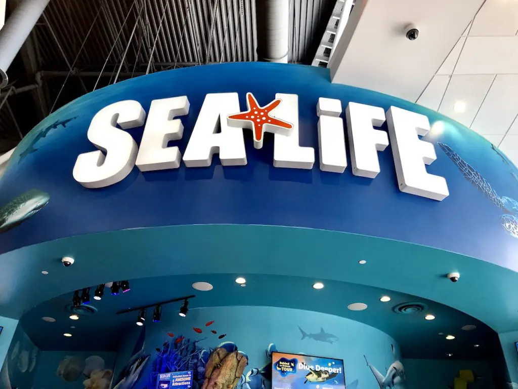 5 Reasons To Visit SEALife Orlando | Orlando attractions that are not theme parks | SEALife Orlando aquarium | Orlando with kids | ICON Park Orlando | Orlando eye | Florida aquarium | #sealife #sealifeorlando #orlandoaquarium #orlandoattractions #orlandowithkids