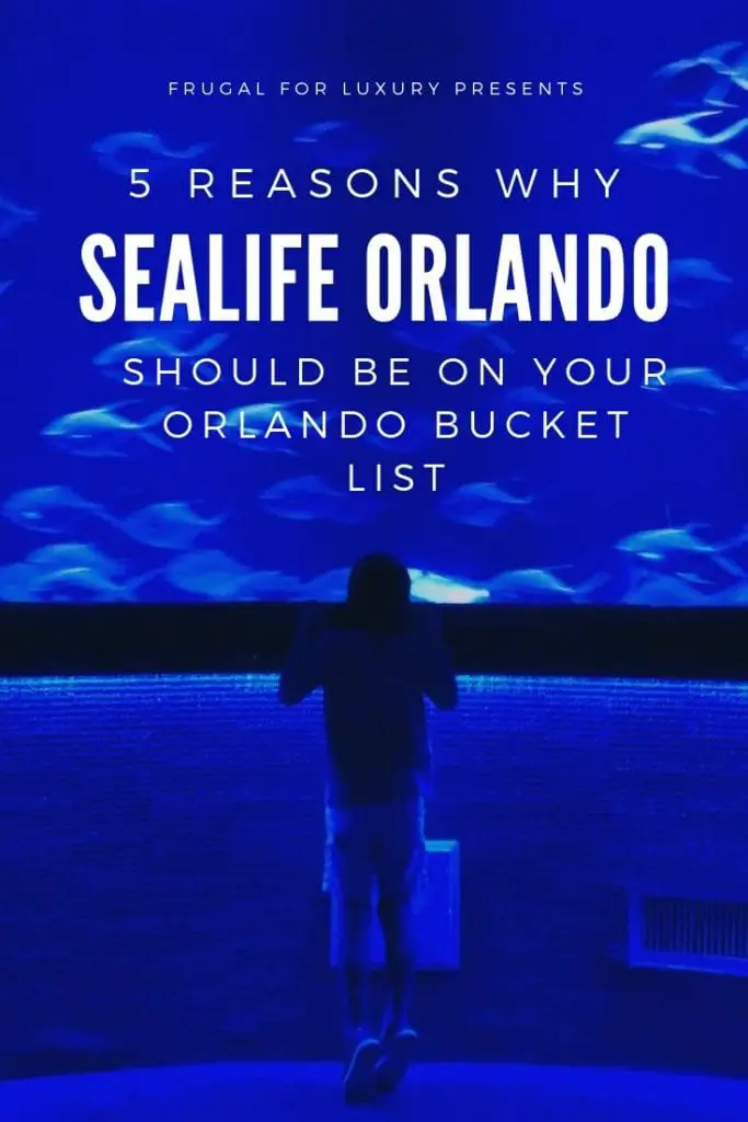 5 Reasons To Visit SEALife Orlando | Orlando attractions that are not theme parks | SEALife Orlando aquarium | Orlando with kids | ICON Park Orlando | Orlando eye | Florida aquarium | #sealife #sealifeorlando #orlandoaquarium #orlandoattractions #orlandowithkids