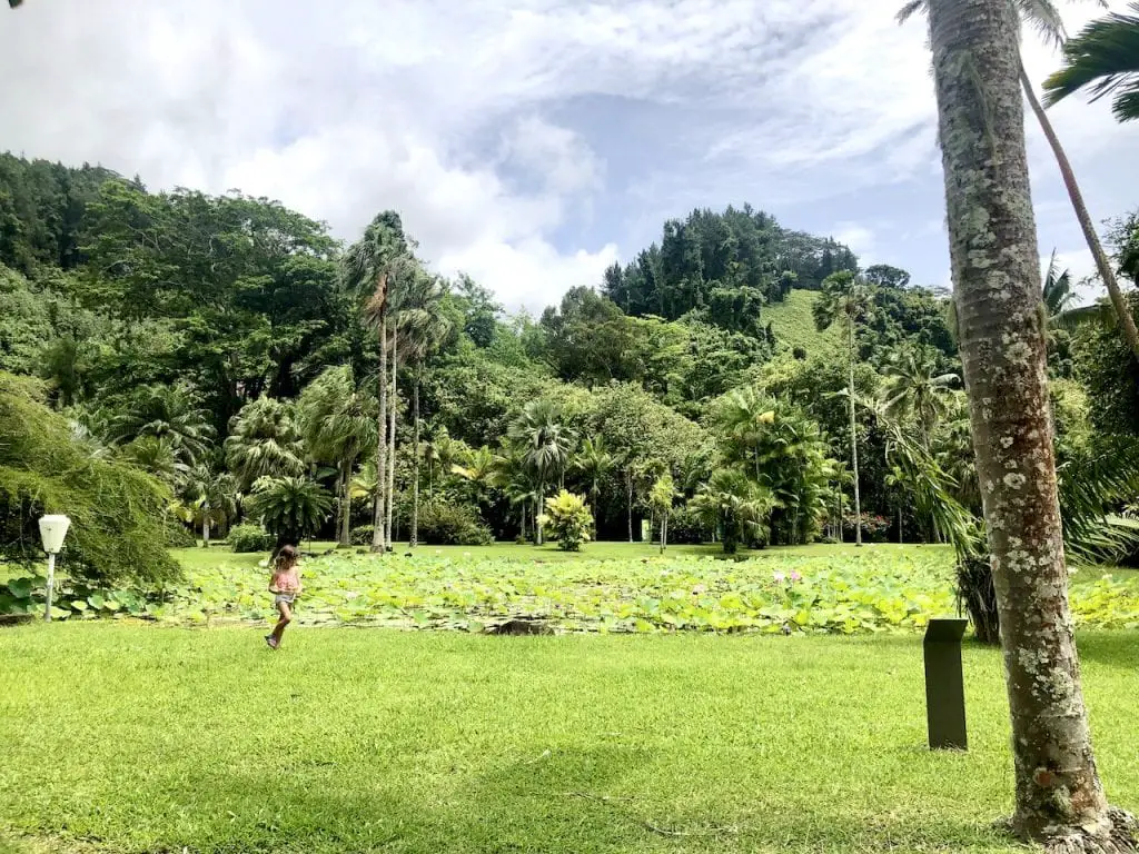 What To Do With Kids In Tahiti | Tahiti with kids | French Polynesia | Fun with kids in Tahiti | Family friendly activities in Tahiti | Family travel | Full time travel family | #tahiti #frenchpolynesia #tahitiwithkids #familytravel #pacificislands