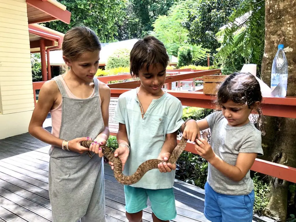 Family Fun In Fiji - At Kula WILD Adventure Park | Fiji animal park | Fiji fun park | Fiji family park | Fiji Adventure park | Fiji with kids | What to do in Fiji with kids | Fiji Coral Coast | #familytravel #fijitravel #fijiwithkids #kulawild #kulawildadventurepark #fiji