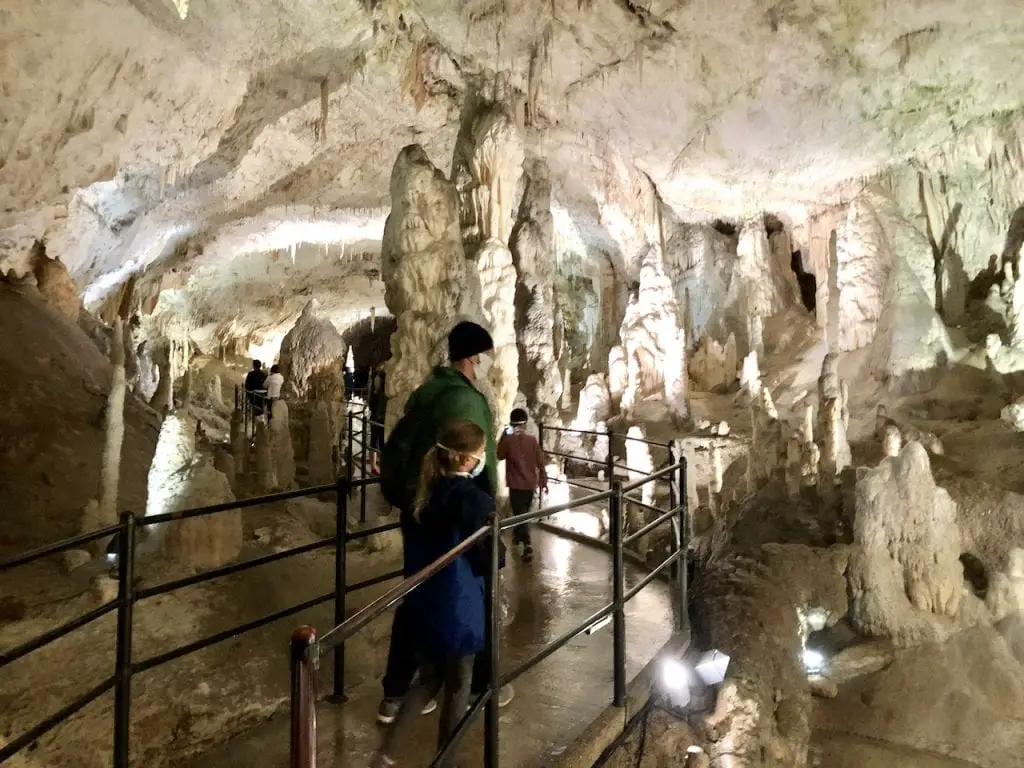 Mind-Blowing Day Trip From Ljubljana For Families - Postojnska Jama Caves | Postojna Cave | Slovenia travel | Slovenia with kids | Day trip from Ljubljana | Ljubljana, Slovenia | Visit Ljubljana | Best underground caves in Europe | Largest caves in Europe | Europe travel | Slovenia off the beaten path | Traveling with kids | Family travel in Slovenia | #slovenia #Postojnacave #ifeelslovenia #PostojnskaJama #hosted