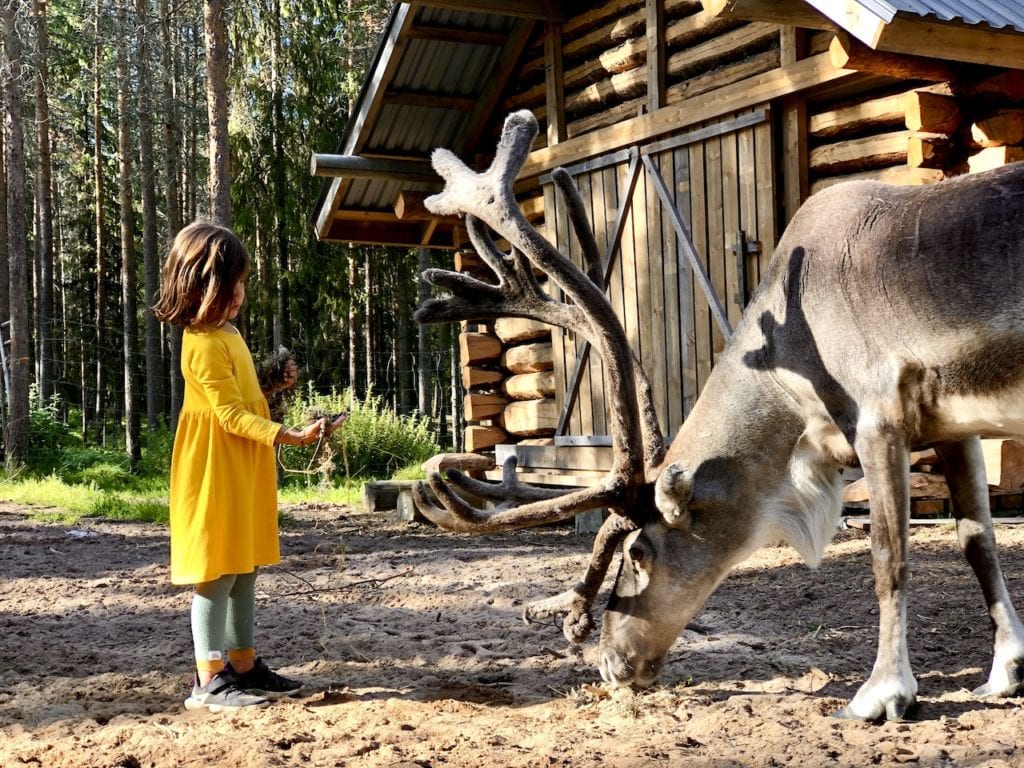 The Perfect Arctic Adventure In Rovaniemi - With Wild About Lapland | Reindeer encounter Rovaniemi | Meeting reindeer with kids | Rovaniemi with kids | Travel tours in Lapland | Visiting Lapland | Visit Rovaniemi | Rovaniemi with kids | Canoe trip in Rovaniemi | #rovaniemi #wildaboutlapland #lapland #visitlapland #vistrovaniemi #rovaniemiwithkids #finlandwithkids #finlandtravel