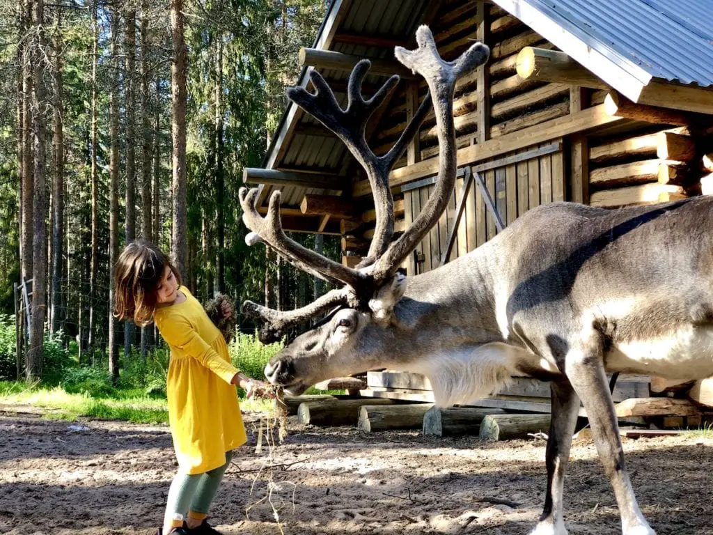 What To Do In Rovaniemi, Finland With Kids | Traveling to Lapland with kids | Where can I meet the real Santa Claus | Santa Claus office | Meeting reindeer in Finland | Reindeer farm Rovaniemi | Dog sledging with kids in Rovaniemi | Meeting Alaskan huskies in Finland | #rovaniemi #visitrovaniemi #finlandwithkids #travelingtofinlandwithkids #laplandtravel #santaclaus #reindeer #huskies #alaskanhuskies #visitlapand #visitfinland #finlandtravel