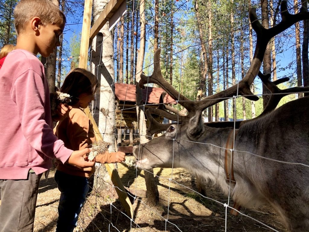 What To Do In Rovaniemi, Finland With Kids | Traveling to Lapland with kids | Where can I meet the real Santa Claus | Santa Claus office | Meeting reindeer in Finland | Reindeer farm Rovaniemi | Dog sledging with kids in Rovaniemi | Meeting Alaskan huskies in Finland | #rovaniemi #visitrovaniemi #finlandwithkids #travelingtofinlandwithkids #laplandtravel #santaclaus #reindeer #huskies #alaskanhuskies #visitlapand #visitfinland #finlandtravel