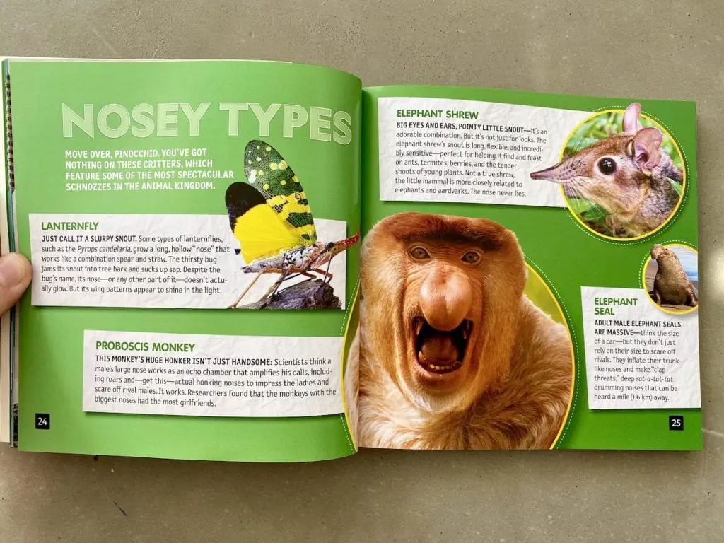 best children's books about animals