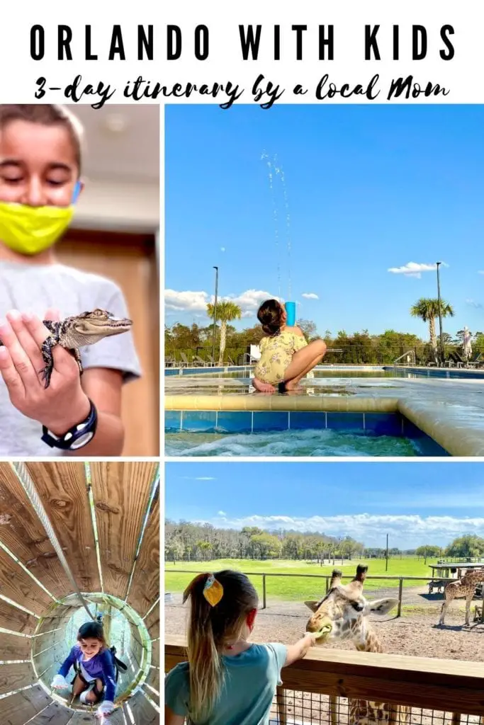 What To Do In Orlando With Kids - A 3-Day Itinerary For The Perfect Family Getaway | Visit Orlando | Orlando with kids | What to do in Orlando besides the theme parks | Gatorland Orlando | Orlando Tree Trek Adventure Park | Where to see alligators in Orlando | Wild Florida | Where to ride airboats in Orlando | #visitorlando #hosted #wildflorida #loveorlando #gatorland #treetrek #orlandotreetrek #orlandowithkids