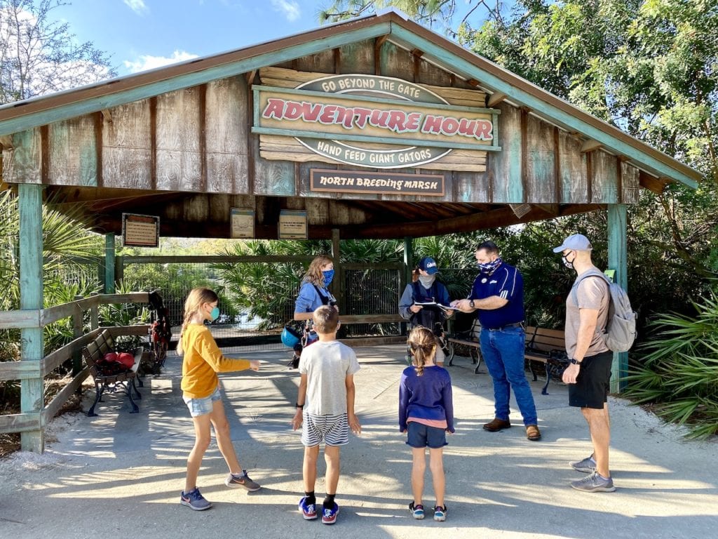 What To Do In Orlando With Kids - A 3-Day Itinerary For The Perfect Family Getaway | Visit Orlando | Orlando with kids | What to do in Orlando besides the theme parks | Gatorland Orlando | Orlando Tree Trek Adventure Park | Where to see alligators in Orlando | Wild Florida | Where to ride airboats in Orlando | #visitorlando #hosted #wildflorida #loveorlando #gatorland #treetrek #orlandotreetrek #orlandowithkids